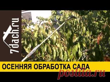 🍂 Защищаем сад от вредителей. Осеннее опрыскивание: чем, как и когда - 7 дач