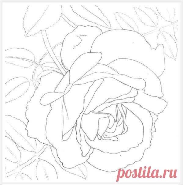 Учимся рисовать розу акварелью — Сделай сам, идеи для творчества - DIY Ideas