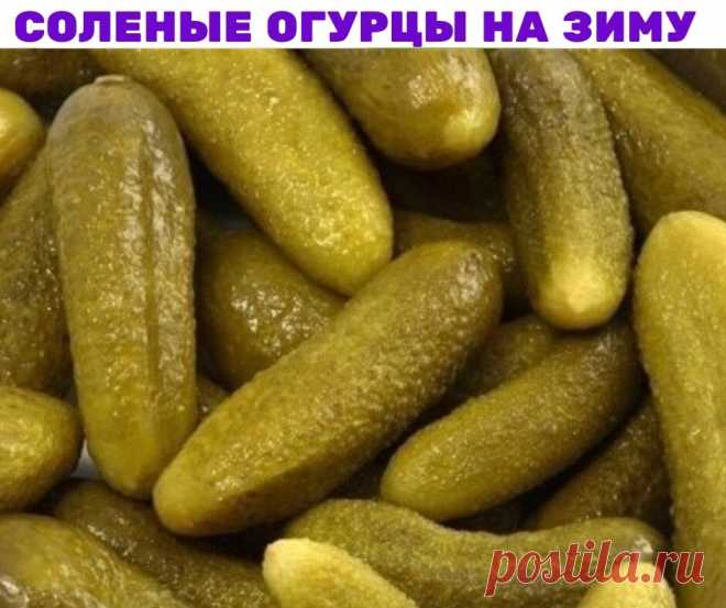 Соленые огурцы на зиму

На 3-х литровую банку:
3 ст. ложки соли
1 ст. ложка сухой горчицы.
огурцы

Набор зелени для соления. Обязательно сельдерей, я кладу траву, но можно и черешковый.
Огурцы, если они не с грядки, предварительно замочить часа на 2, срезать кончики.
Уложить в чистую, ошпаренную банку огурцы, зелень, чеснок.
Сверху всыпать соль и горчицу.
Положить зеленушку и залить кипятком доверху.
Закрыть прокипяченными полиэтиленовыми или закручивающимися крышками. ВСЕ...