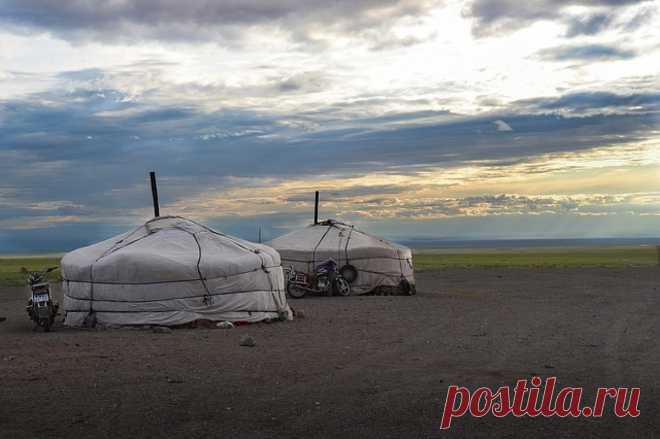 В Монголии выявили 137 природных очагов чумы. Некоторые из них находятся на границе с РФ.