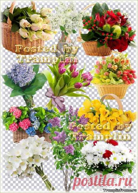 Букеты цветов – Розы, тюльпаны, хризантемы, сирень - Клипарт на прозрачном фоне - Png, Psd клипарт - прозрачный фон - Все для Фотошоп - Рамки для фото бесплатно