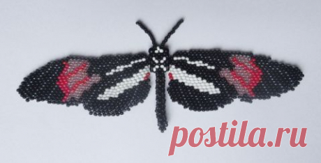 Heliconius erato phyllis | biser.info - всё о бисере и бисерном творчестве