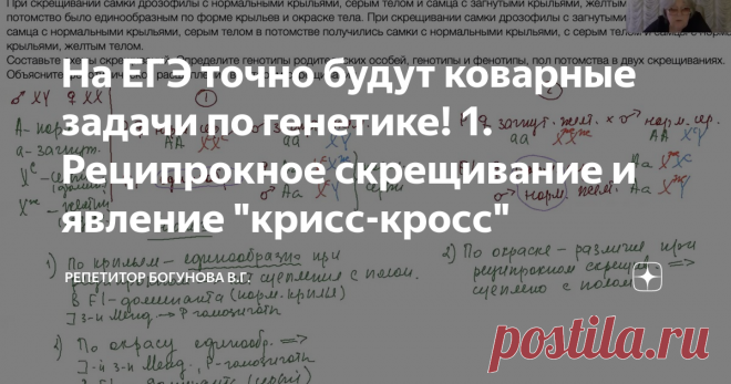 На ЕГЭ точно будут коварные задачи по генетике! 1. Реципрокное скрещивание и явление 