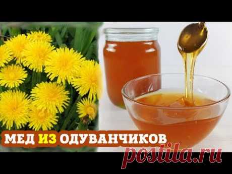 Мед из ОДУВАНЧИКОВ | Пошаговый рецепт