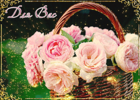 Для тебя красивые цветы | Скачать Бесплатно Для тебя красивые цветы - . Для тебя красивые цветы - красивая открытка, отправить друзьям и близким.