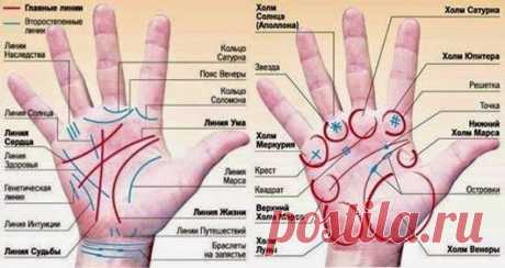 Толкование линий на ладони