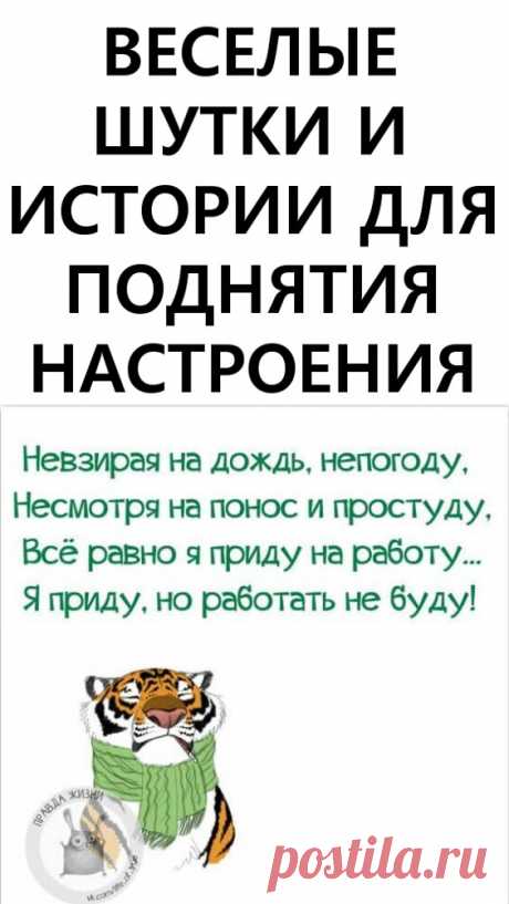 Веселые шутки и истории для поднятия настроения. Наша подборка коротких веселых историй настроит вас на позитив и подарит хорошее настроение на весь день!

Живите и смотрите на всё происходящее вокруг с юмором!