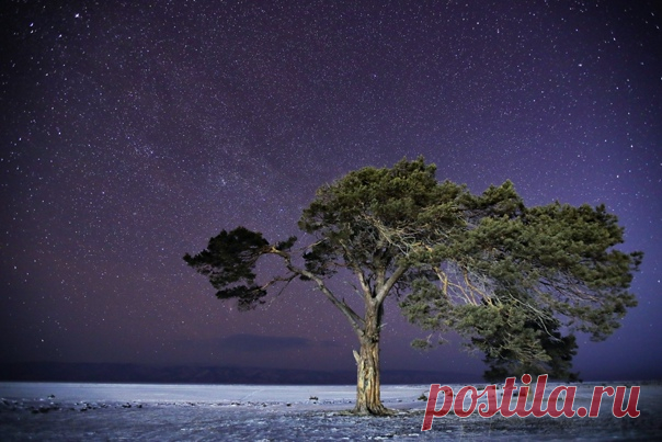 Звездная ночь на острове Ольхон, озеро Байкал. Фото Владимира Кочкина: nat-geo.ru/community/user/127034/ Фантастических снов 😴
