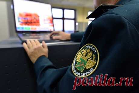 Женщина попыталась провезти в Россию изделия из бивней мамонта под юбкой