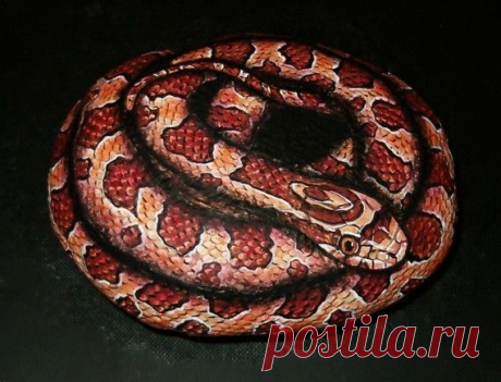 Hand Painted Rock Art - Corn Snake