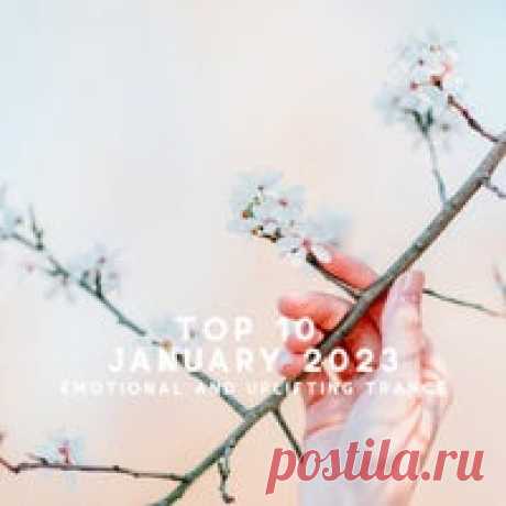 VA - Top 10 January 2023 Emotional and Uplifting Trance [Beyond All The Stars] - HOUSEFTP