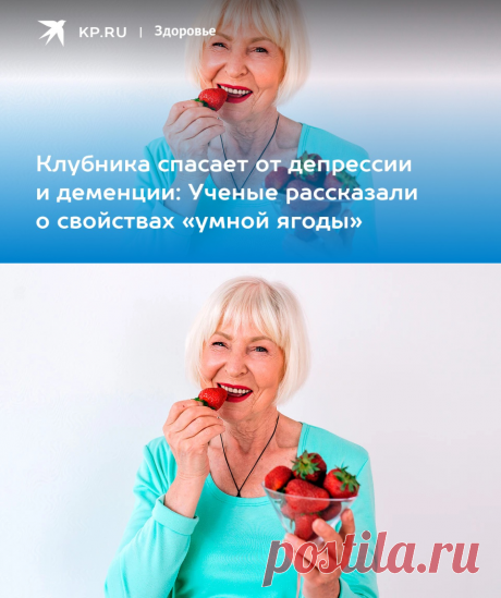 Клубника спасает от депрессии и деменции: Ученые рассказали о свойствах «умной ягоды» - KP.RU