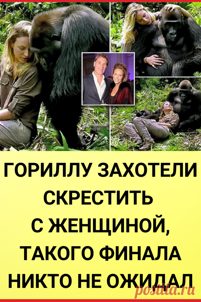 Тетя горилла если хотите стать сильными детки. Горилла и женщина. Гориллу скрестили с женщиной. Баба с гориллой. Скрещивание горилл.