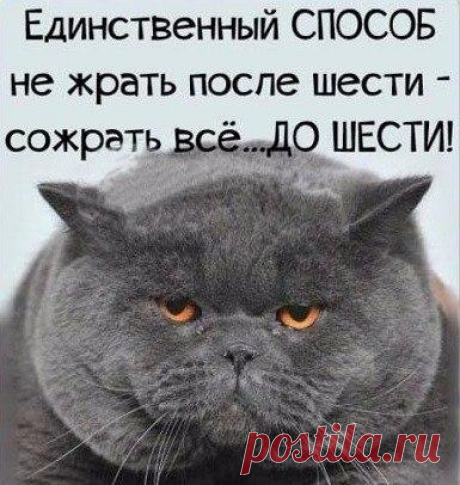 Сообщество для современных бабушек, дедушек и не только! Присоединяйтесь!