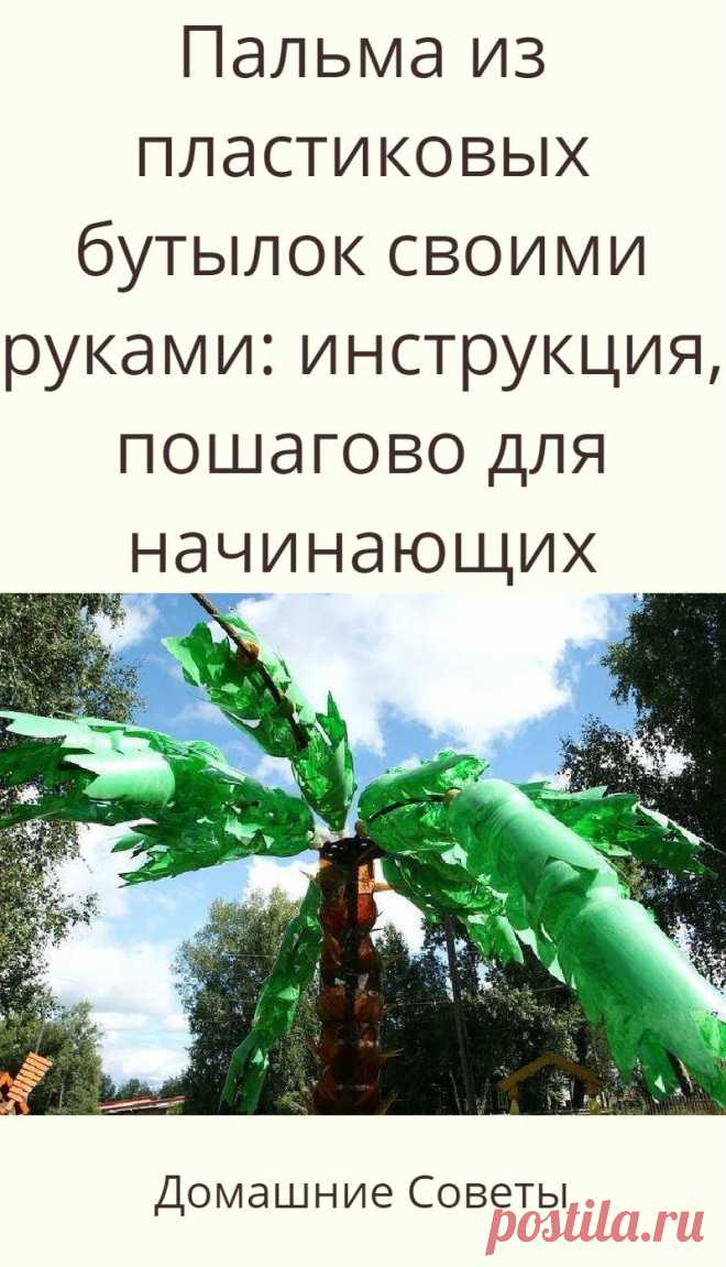 пальма из пластиковых бутылок Пальмы, Фото цветов, Сад