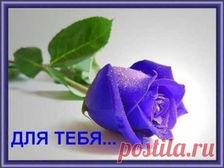 Фотографии сайта «У нас все звезды»