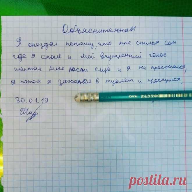 18 смешных объяснительных от школьников, чьих родителей вызвали к директору / Малютка