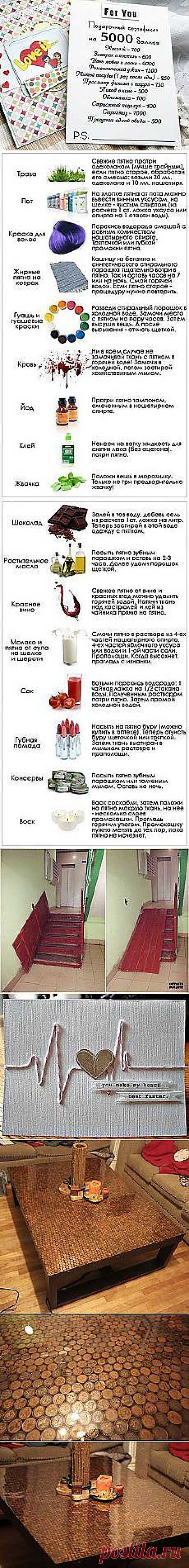 Лара Кузьмина: Глаза боятся, руки делают | Постила.ru