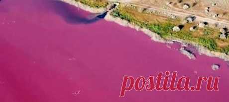 Лагуна Корфу в Патагонии окрасилась в ярко-розовый цвет – и пусть подобное происходит по естественным причинам чаще, чем считают обыватели, сейчас причина кроется именно в человеческой деятельности.