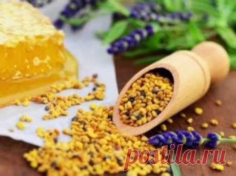 ༺🌸༻Цветочная (пчелиная) пыльца: польза и вред, применение, отзывы