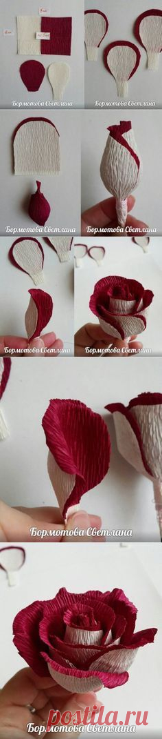 (479) Pinterest