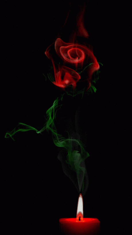 22 Free Amazing Blooming Roses Animated Gifs at Best Animations