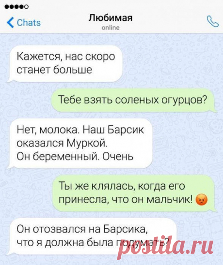 Прикольные переписки - 16 картинок - Нет скуки - Сайт хорошего настроения