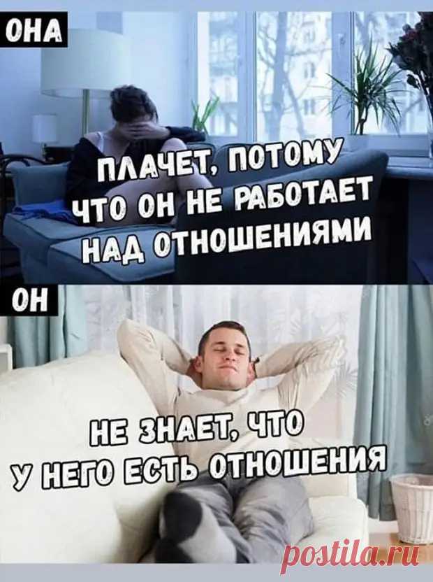 Свежая подборка шуточек - Смехотерапия - 27 марта - 43679723611 - Медиаплатформа МирТесен