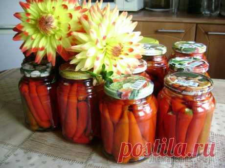 Перчики острые маринованные