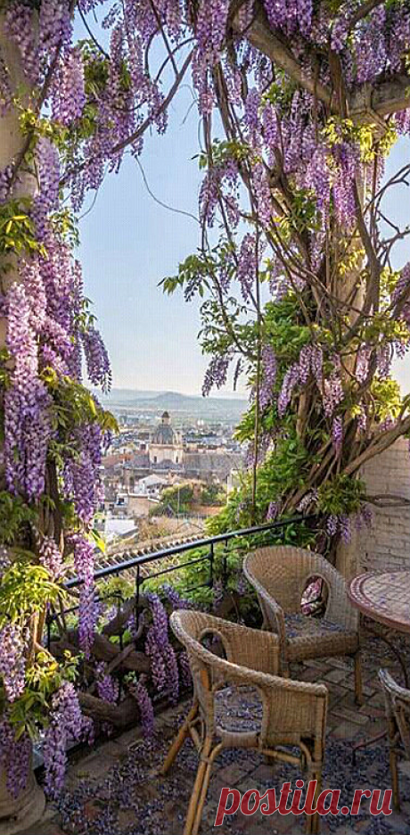 ♔ Wisteria covered patio in Granada, Andalusia, Spain.