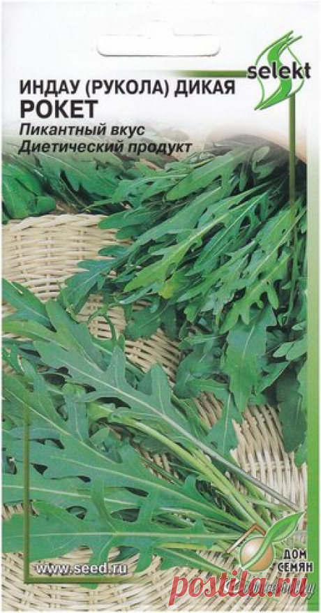 Индау Руккола дикая Рокет, 800 семян   ㅤ