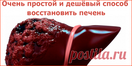 Очень простой и дешёвый способ восстановить печень | Полезные советы
