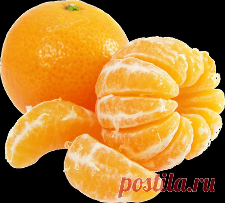 клипарт «дары природы