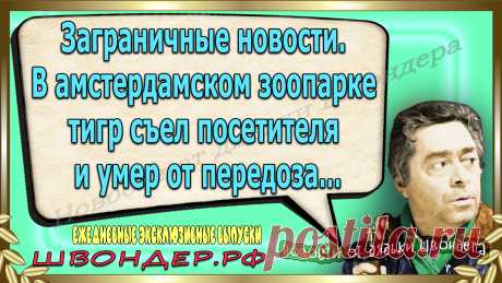 Новости от дядьки Швондера, классный анекдот, смешная фраза, веселая фенечка, смешной каламбур, известные афоризмы, смех да и только, забавные картинки, сложный юмор, непонятные анекдоты, цитаты из интернета, необычное развлечение, Швондер говорит, Шариков, Собачье сердце, улыбка до ушей, эксклюзивный выпуск новостей, ржака, потеха, фарс, наколка, проделка, шутка, юмор, анекдоты в картинках, юмор в картинках, свежие приколы, фенечка, смешная фишка, улыбка, ржачка, интересное в сети, смешок, смех