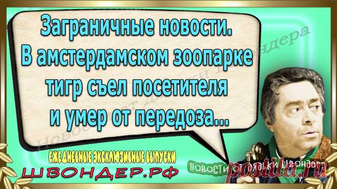Новости от дядьки Швондера, классный анекдот, смешная фраза, веселая фенечка, смешной каламбур, известные афоризмы, смех да и только, забавные картинки, сложный юмор, непонятные анекдоты, цитаты из интернета, необычное развлечение, Швондер говорит, Шариков, Собачье сердце, улыбка до ушей, эксклюзивный выпуск новостей, ржака, потеха, фарс, наколка, проделка, шутка, юмор, анекдоты в картинках, юмор в картинках, свежие приколы, фенечка, смешная фишка, улыбка, ржачка, интересное в сети, смешок, смех