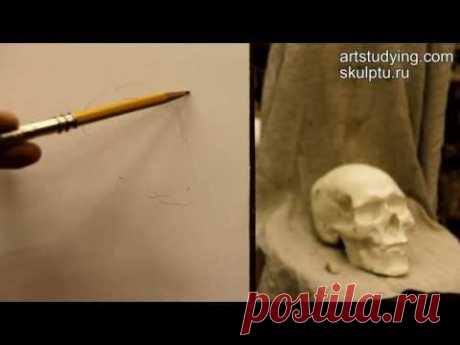 Обучение рисунку. Портрет. 5 серия: наброски черепа
