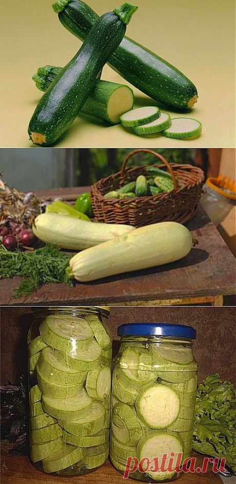 Рецепты маринования и засолки кабачков на зиму / Простые рецепты