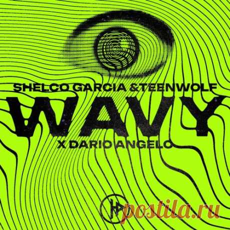 Shelco Garcia & Teenwolf & Dario Angelo - Wavy [House Party Records]