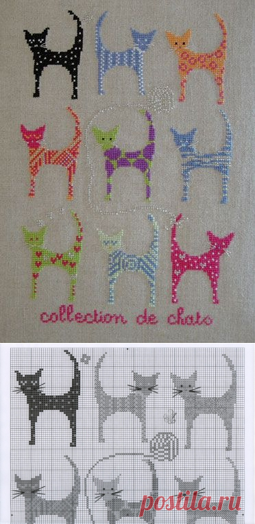 В/К. COLLECTION DE CHATS