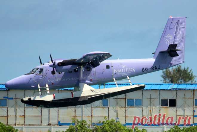 Фото MAV De Havilland Canada (8Q-RAJ) - FlightAware