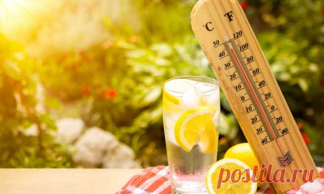 Как питаться в жару: 5 важных правил для всех Чем питаться летом, не нагружая организм? Какие продукты, блюда и напитки помогут легче перенести жару? 5 правил грамотного питания по сезону