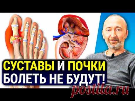 Как вывести МОЧЕВУЮ КИСЛОТУ из организма? Лечение Подагры и Почек без лекарств натуральными мерами!