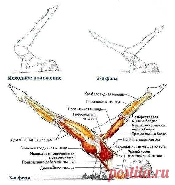 УБРАТЬ ЖИР С НИЗА ЖИВОТА - ОЧЕНЬ ПРОСТО!.