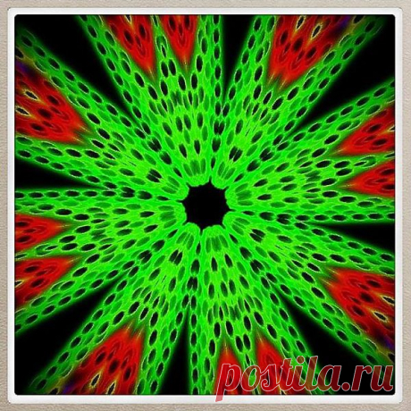 Оптическая иллюзия - 

Kaleidoskop | Facebook
