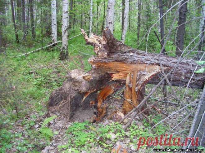 Коттеджный поселок Екатеринбурга - УРАЛЬСКАЯ СЛОБОДА - ФОТОГРАФИИ ПОСЕЛКА
