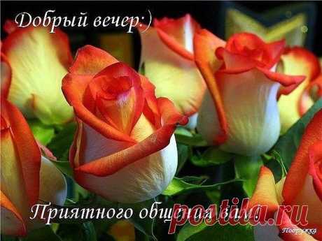 Новые фотографии