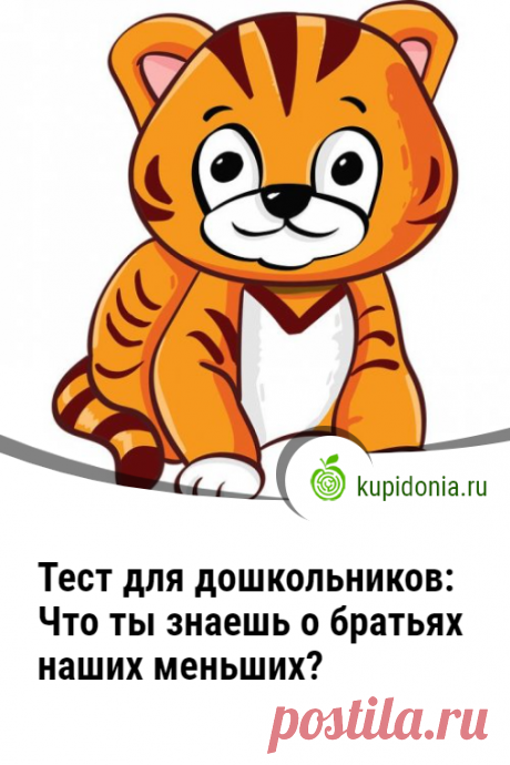 Тест для дошкольников: Что ты знаешь о братьях наших меньших?. Интересный тест о животных с простыми вопросами для детей дошкольного возраста. Проверь свои знания!