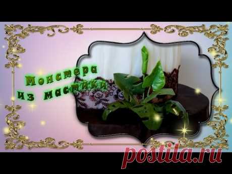 Монстера из мастики - YouTube