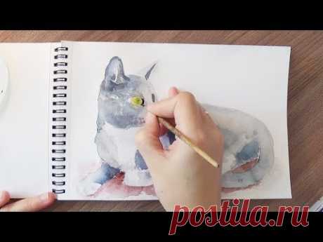 Как нарисовать кота акварелью. Уроки рисования. Скетчинг