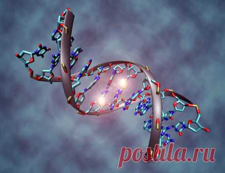 Грегг Брейден: молекула ДНК может исцелиться при помощи ЧУВСТВ